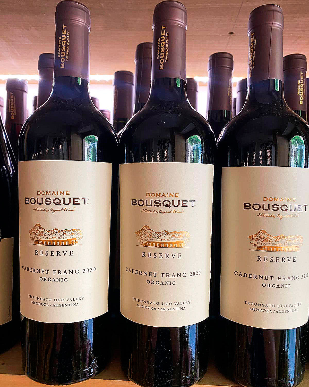 Cabaret-Franc-2020-Reserva-Domaine-Busquet-Brasaviva-Valencia